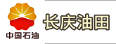 中是石油长庆油田某项目